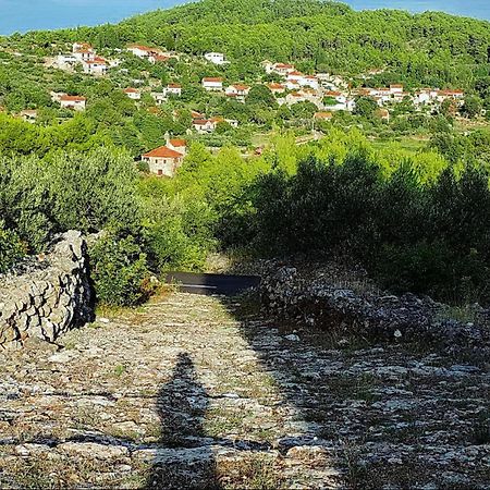 Merlo House Dol Hvar Stari Grad  Extérieur photo