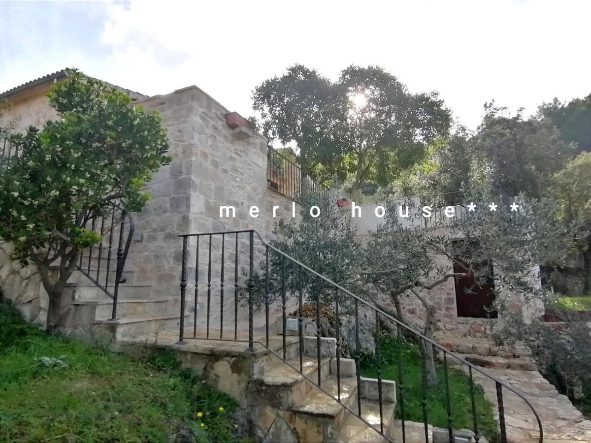 Merlo House Dol Hvar Stari Grad  Extérieur photo