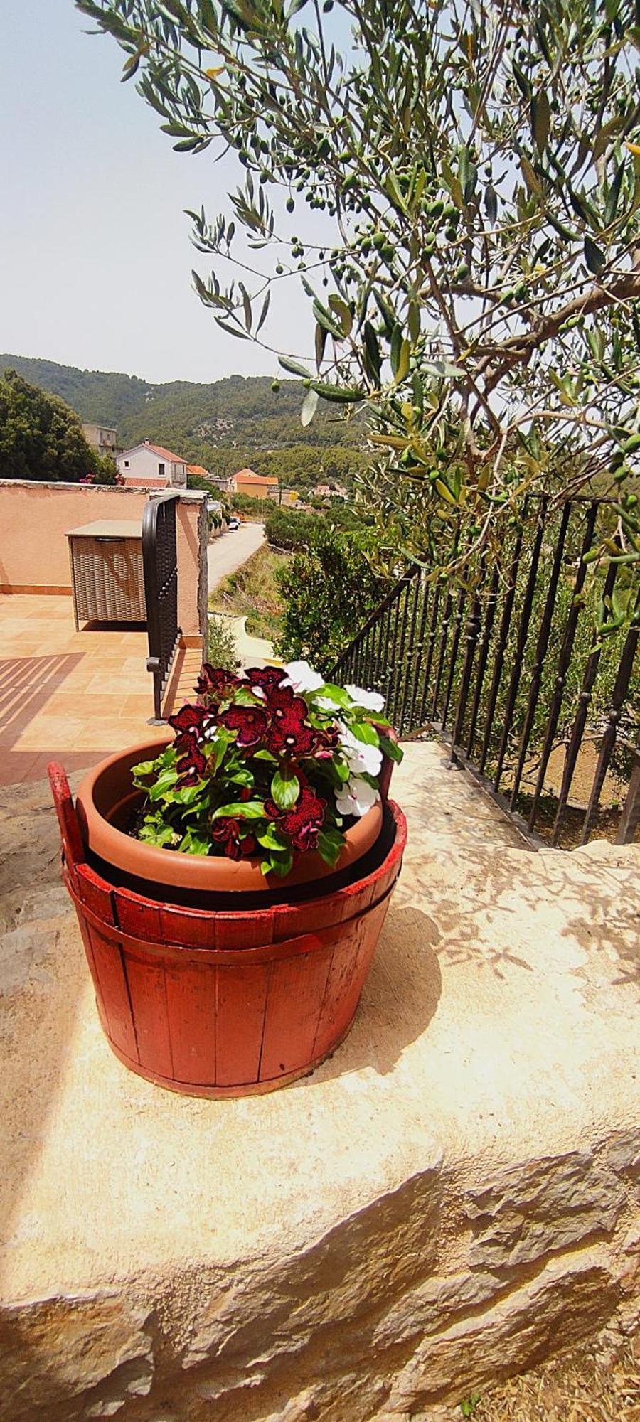 Merlo House Dol Hvar Stari Grad  Extérieur photo