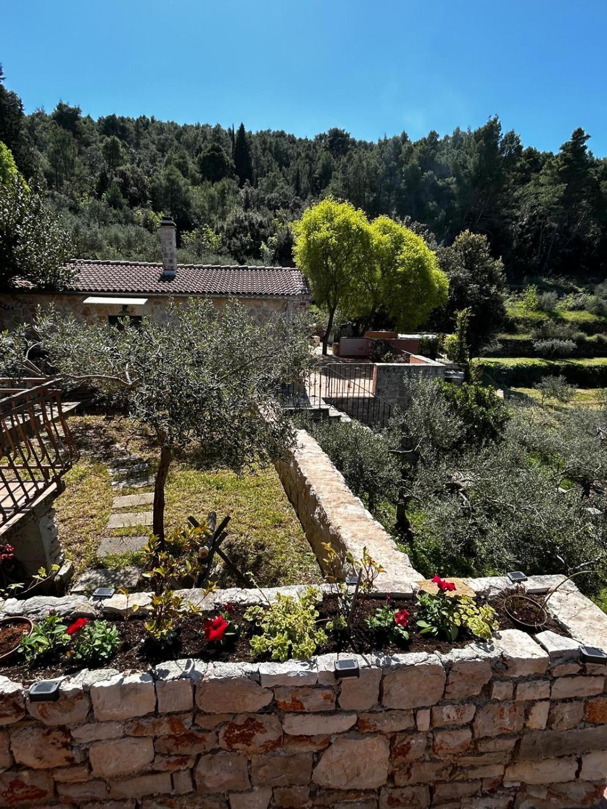 Merlo House Dol Hvar Stari Grad  Extérieur photo
